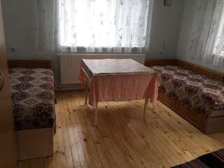Гостевой дом Velkovski Guest House Хисаря Двухместный номер с 2 отдельными кроватями и террасой-8